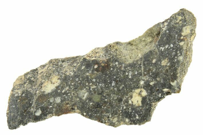 Polished Howardite Meteorite Section ( g) - Bechar #286953